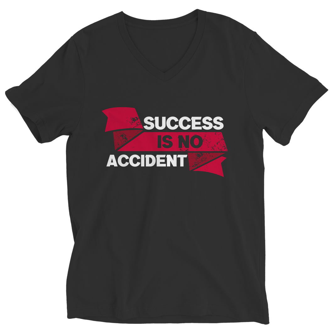 Success Is No Accident